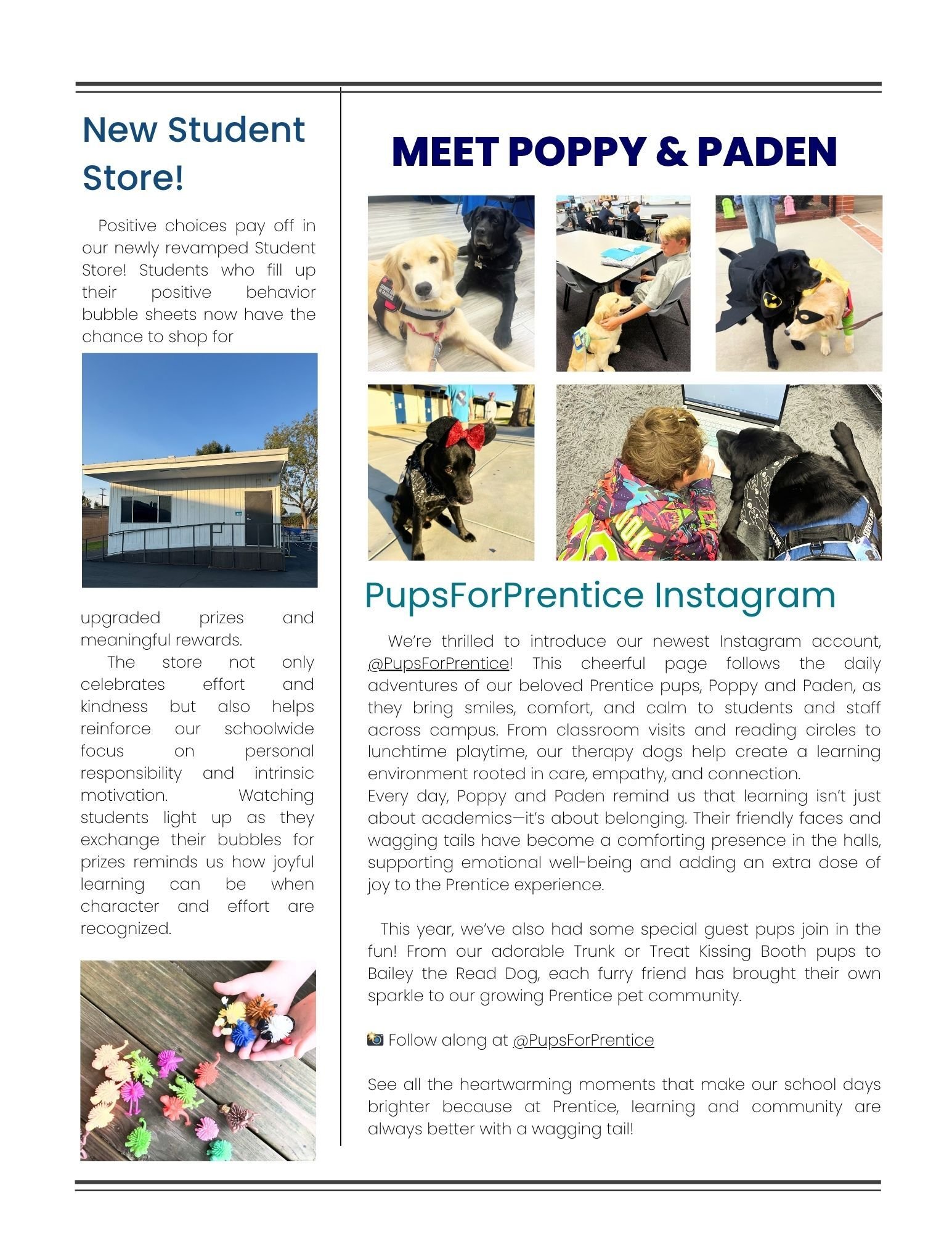 10-Nov-07-2025-04-50-11-8739-PM